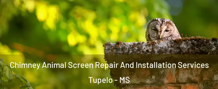  Chimney Animal Screen Repair And Installation Services Tupelo - MS