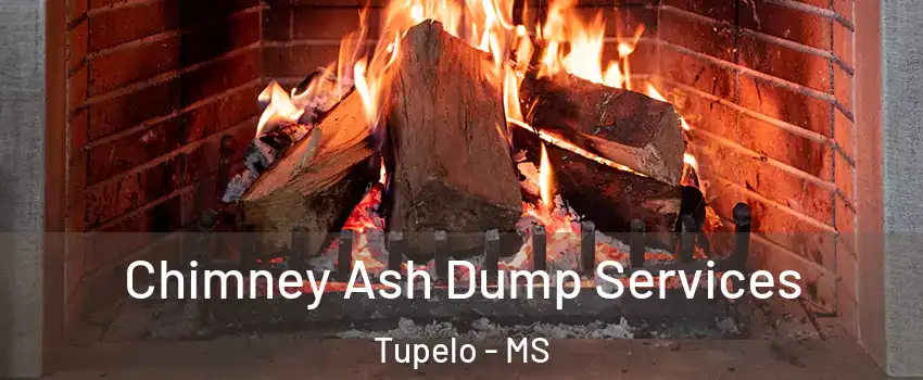  Chimney Ash Dump Services Tupelo - MS