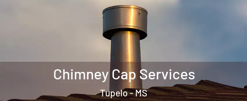  Chimney Cap Services Tupelo - MS