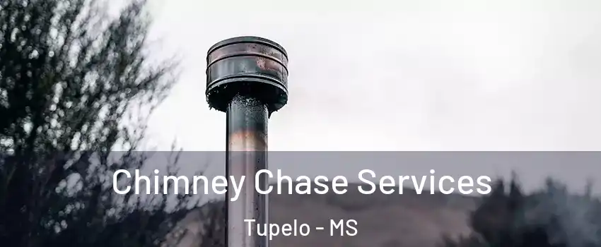  Chimney Chase Services Tupelo - MS