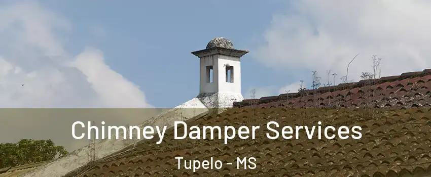  Chimney Damper Services Tupelo - MS