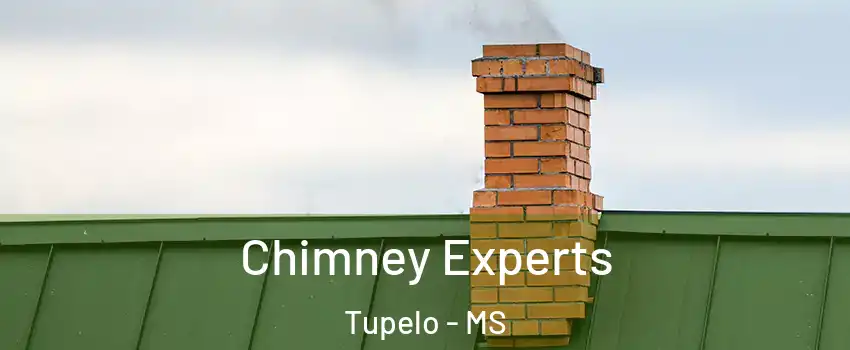 Chimney Experts Tupelo - MS