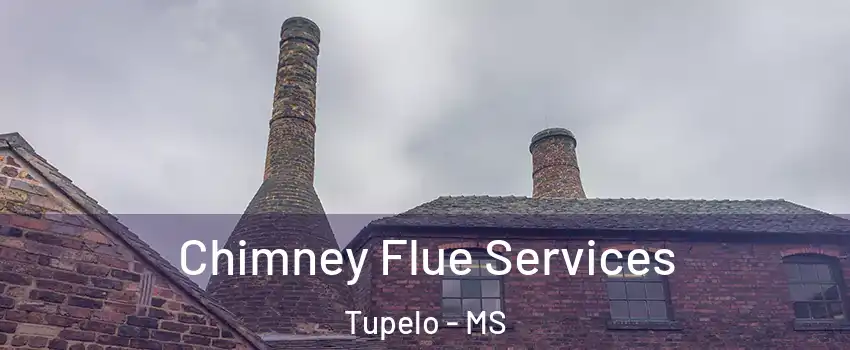  Chimney Flue Services Tupelo - MS