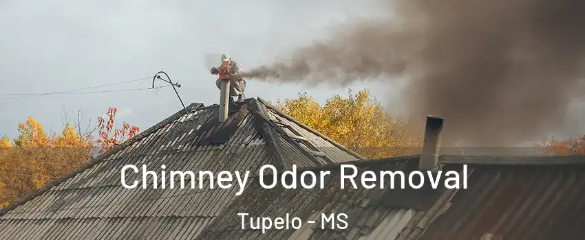  Chimney Odor Removal Tupelo - MS