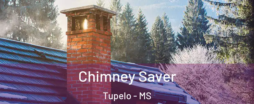  Chimney Saver Tupelo - MS