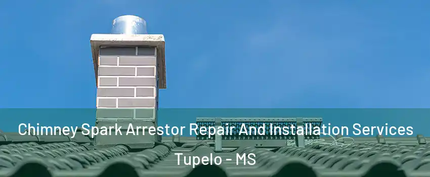  Chimney Spark Arrestor Repair And Installation Services Tupelo - MS