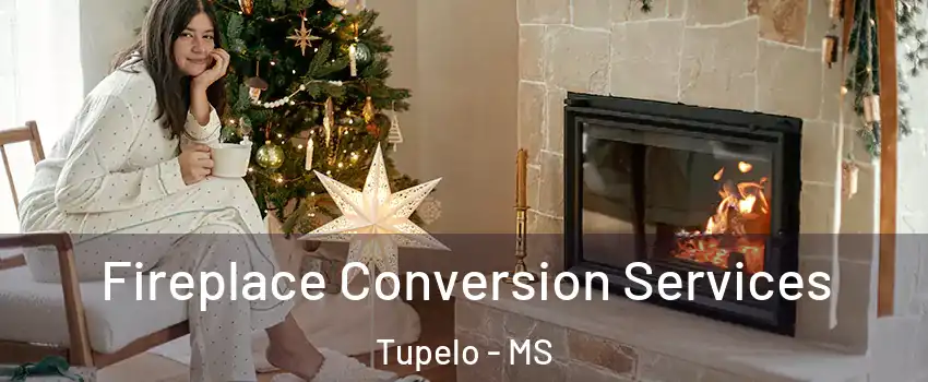  Fireplace Conversion Services Tupelo - MS