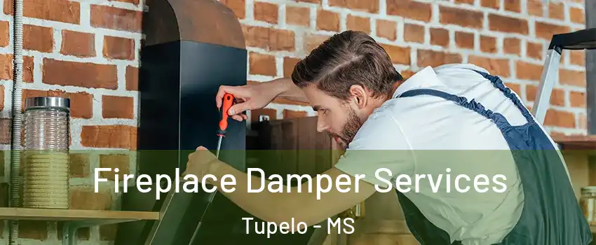  Fireplace Damper Services Tupelo - MS