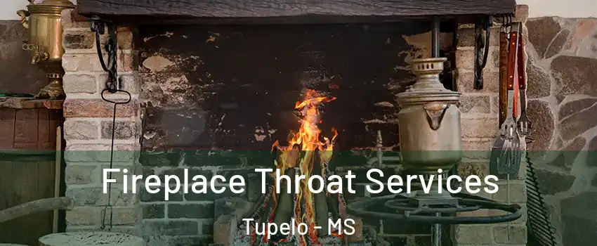  Fireplace Throat Services Tupelo - MS