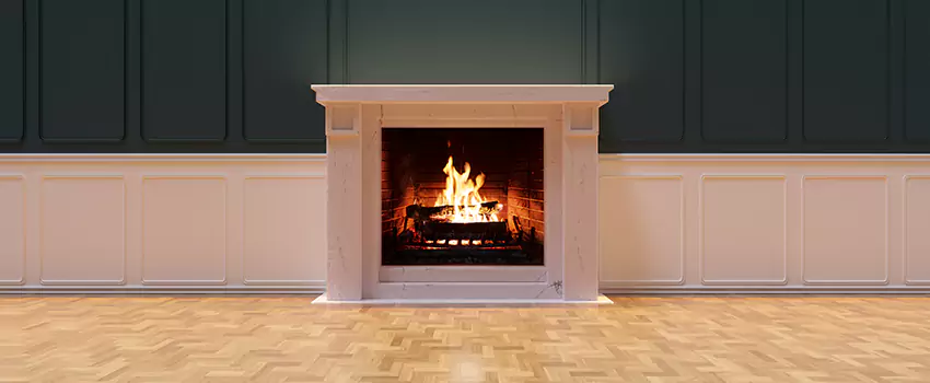 Napoleon Electric Fireplaces Inspection Service in Tupelo, Mississippi