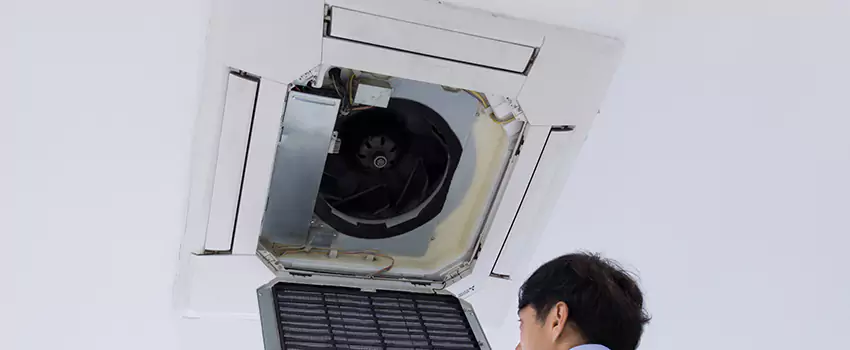 Benefits of Professional Air Duct Cleaning in Tupelo, Mississippi
