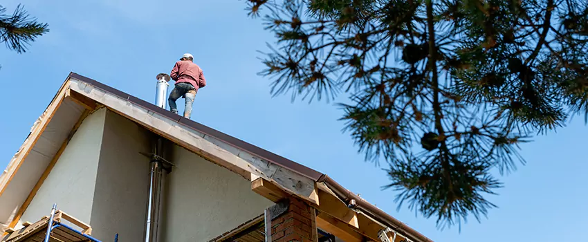 Birds Removal Contractors from Chimney in Tupelo, MS