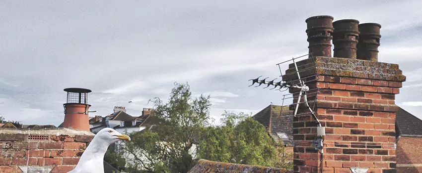 Chimney Cleaning And Restoration in Tupelo, Mississippi