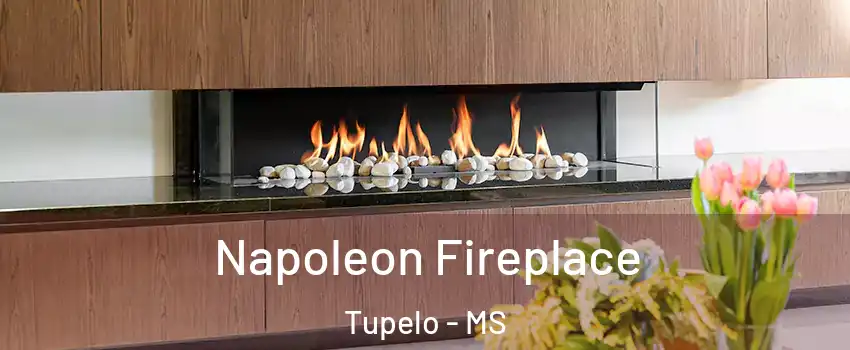  Napoleon Fireplace Tupelo - MS