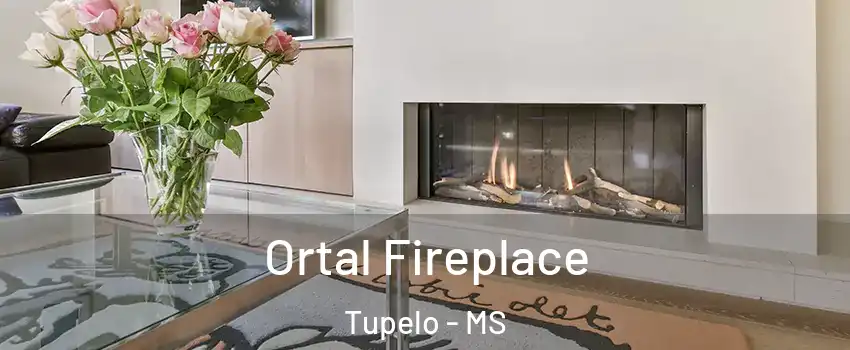 Ortal Fireplace Tupelo - MS